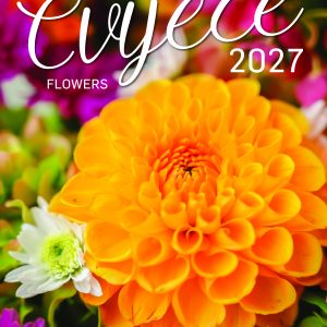 CVIJEĆE